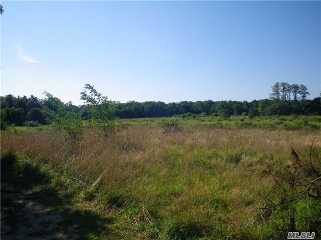 Mostly Rectangular 8.65 Acres Located On S/S Of Cr 48 And W/S Of Leon Road. Development Rights Intact- Small Subdivision Likely.