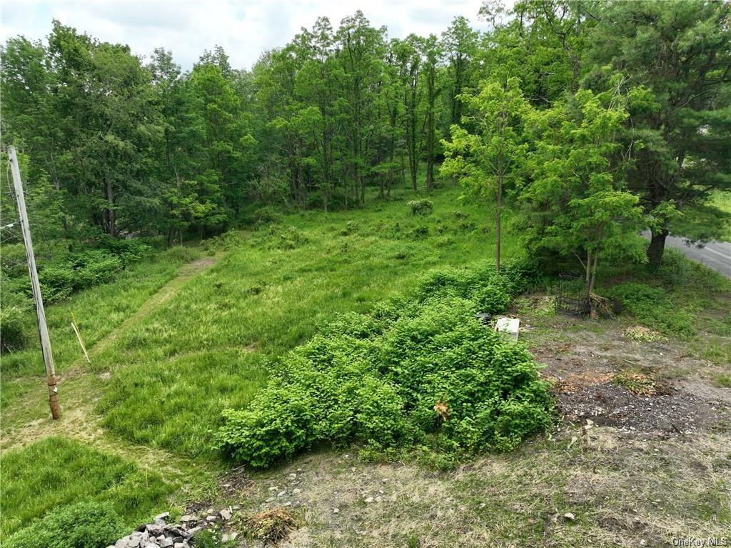 Land in Wawarsing - Cranberry  Ulster, NY 12435
