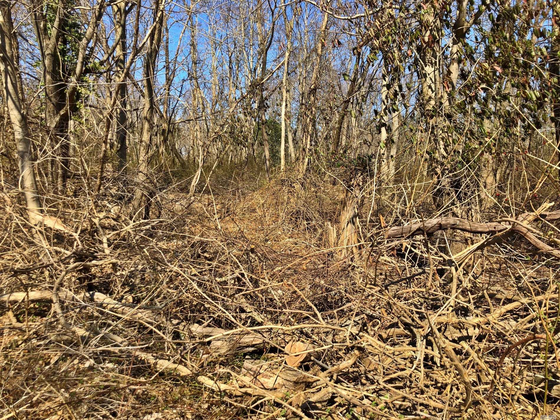 Half acre lot in historic Beixedon Estates. Deeded Beach rights. This lot is included in the filed map for Beixedon Estates. There is public water in the street. A topographical survey is pending. Great location in close proximity to Southold Village and Greenport Village. Invest now and build later.