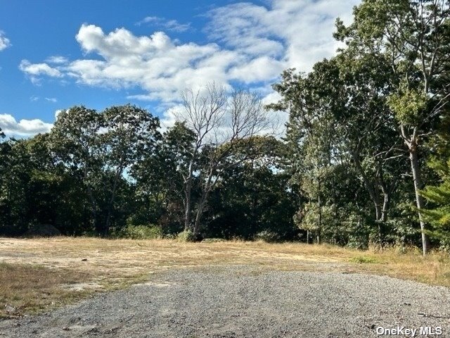 Land in Medford - Yaphank  Suffolk, NY 11763