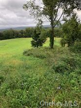 Land in Patterson - Cornwall Hill  Putnam, NY 12563