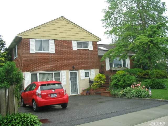 Bright  Split Level Home Featuring: Cathedral Ceilings,  Lr W/Skylights,  Fdr,  Updated Kitchen W/Skylight,  Master Br W/Bath,  2 Other Full Baths,  4Br,  Family Room. New Roof,  Finished Basement. New 200Amp Elec. Igs,  Double Driveway Gas Heat And Cooking And Outside Hook-Up For Gas Bbq.