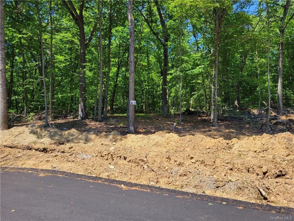 Land in Somers - Dr Tonys  Westchester, NY 10536