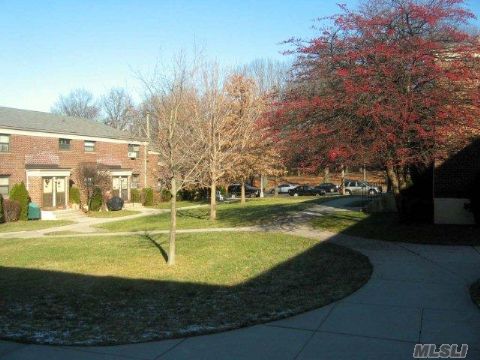 Bright And Sunny, Spacious 2 Bedroom Corner Unit In Windsor Oaks Coop. In A Large Courtyard, Near To Express And Local Bus Routes. Walking Distance To Super Market & Specialty Store Shopping. The Coop Unit Features Extra Windows And Lots Of Closet Space.  Alley Pond Park Is Outside Your Front Door. Great School District #26 Awaits Your Child.