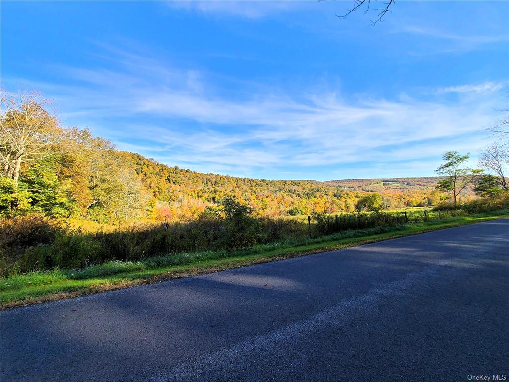 Listing in Callicoon, NY