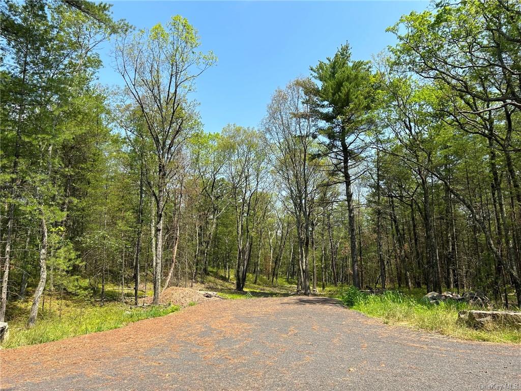 Land in Marbletown - Clendening  Ulster, NY 12484