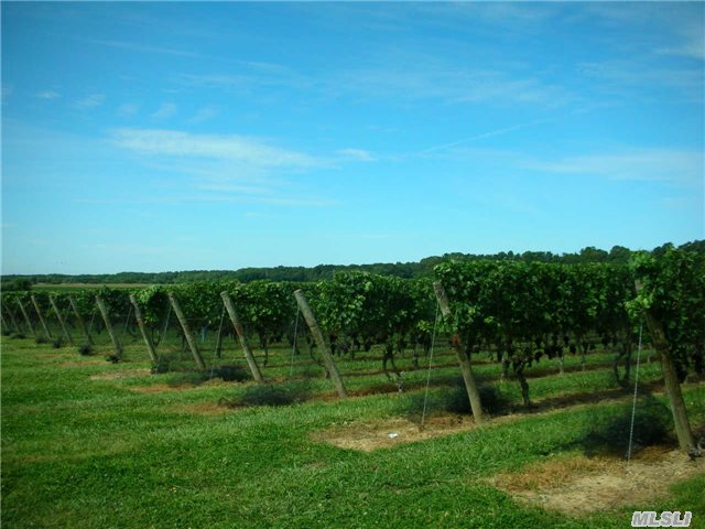 87 Acre Working Farm Featuring 859'  On Long Island Sound Plus Nearly 30 Acres Planted With Mature Wine Grapes Producing Merlot,  Pinot Noir And Chardonnay Varietals.  Large/Double Potatoe Barn Climate Controlled; Small Caretakers Cottage.  Full Development Rights In Tact - Ideal For Future Retail Tasting Room,  Waterfront Estate,  Or Subdivision