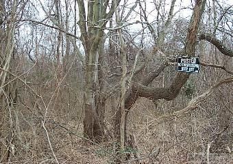 Perfectly Located 2 Acre Lot In One Of The Gold Coasts Most Sought After Neighborhoods. Build Your Dream Home Up To Aproximately 5800-6000Sqft..Excellent Value In Brookville...Please Do Not Enter The Property Without Permission