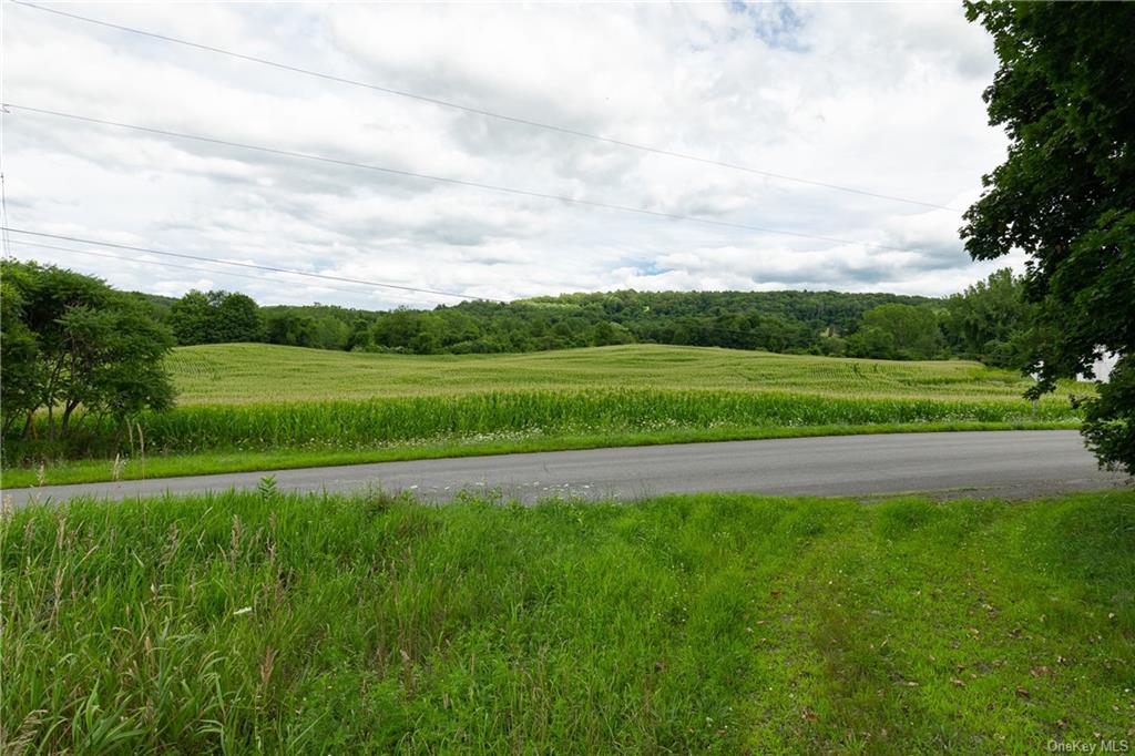 Land in Hillsdale - Yonderview  Columbia, NY 12529