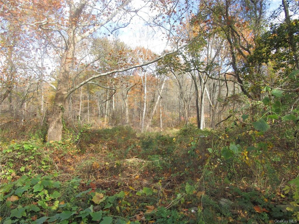 Land in Yorktown - Foothill  Westchester, NY 10547