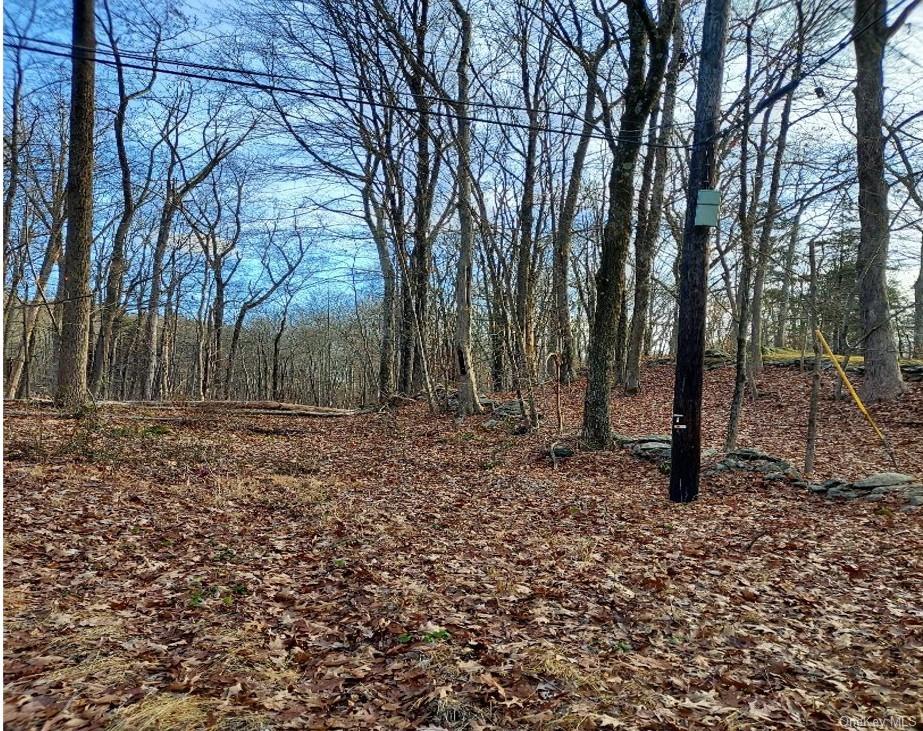 Land in Lewisboro - Laurie  Westchester, NY 10590