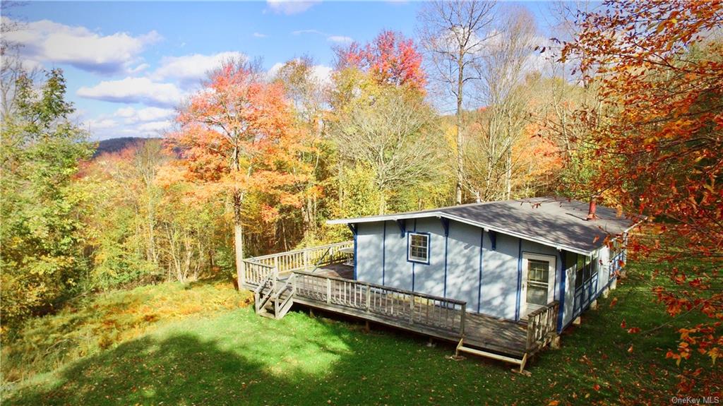 Single Family in Colchester - Baxter Mountain  Delaware, NY 13755