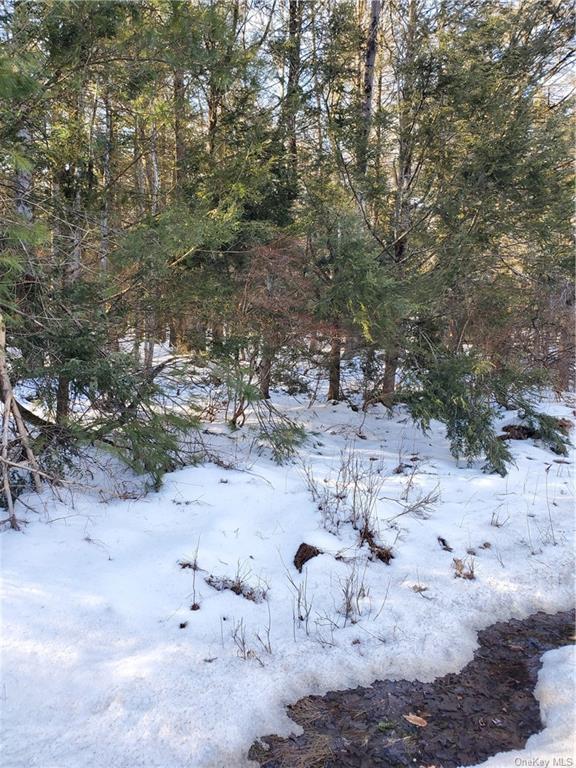 Land in Wawarsing - Red Star  Ulster, NY 12435