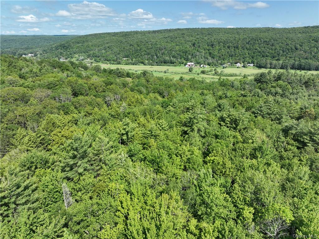 Land in Conesville - Beaver Hill  Out Of Area, NY 12076