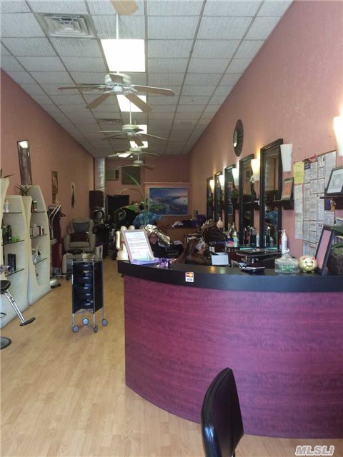 Hair Salon And Spa. All Inventory Included. Great Business Opportunity. It Is Beautifully Remodeled Salon Equipped With Full Day Spa In The Basement. Room For Waxing, Room For Facial. Large Clientele Base. Next To St. John's University. It Wont Last. Parking In The Back