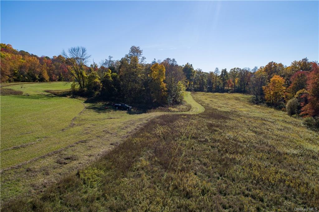 Land Traver  Dutchess, NY 12569, MLS-H6272015-10