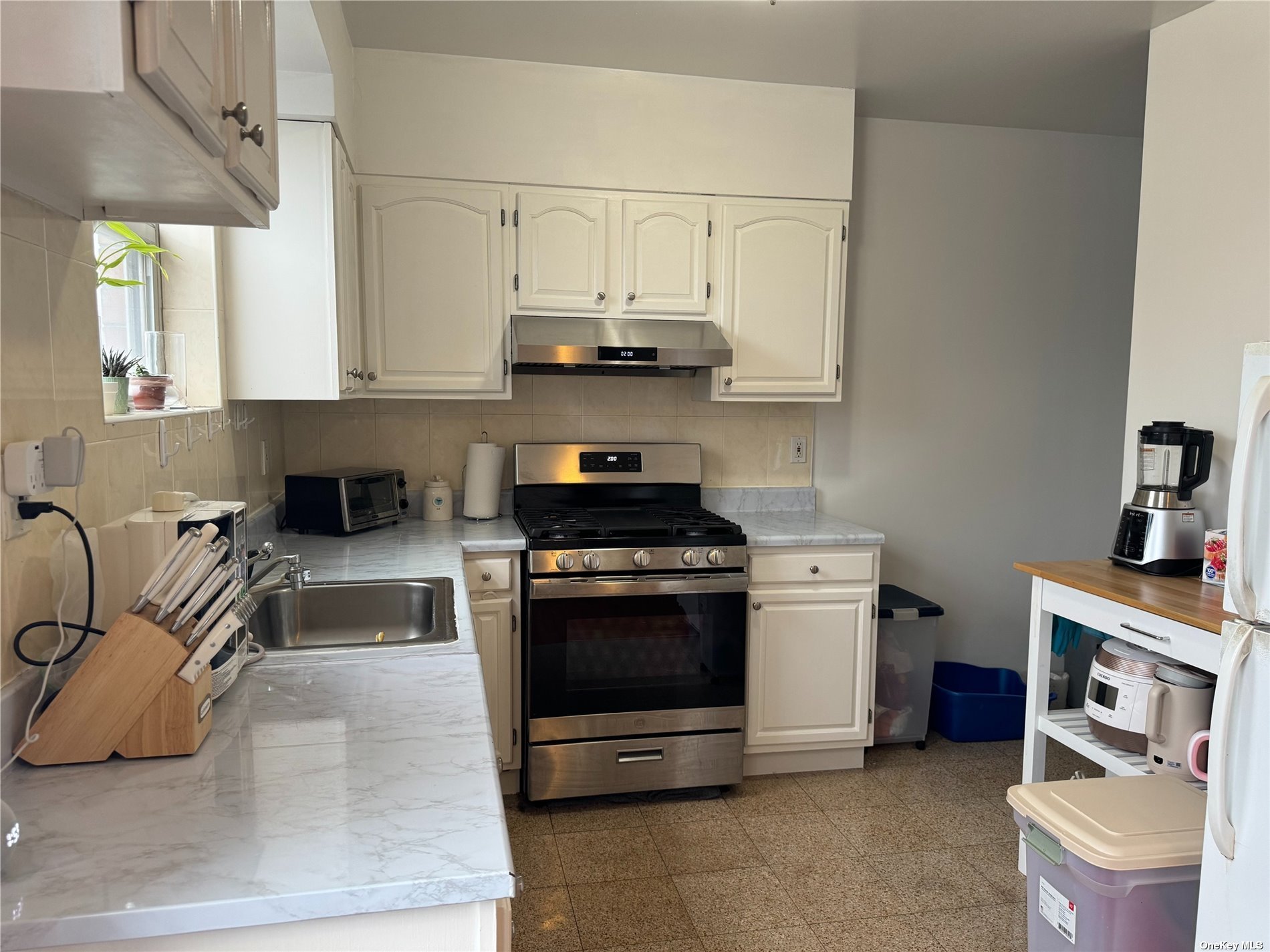 Condo Linden Pl  Queens, NY 11354, MLS-3516022-10