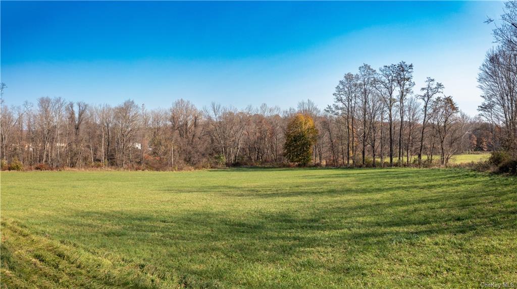 Land Cricket Hill  Dutchess, NY 12522, MLS-H6277028-10