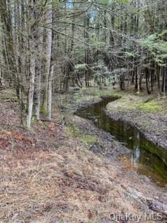 Land Bear Run  Sullivan, NY 12764, MLS-H6168030-10