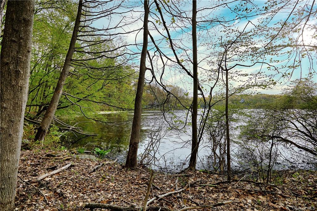 Land Beaver Pond  Rockland, NY 10980, MLS-H6246059-10