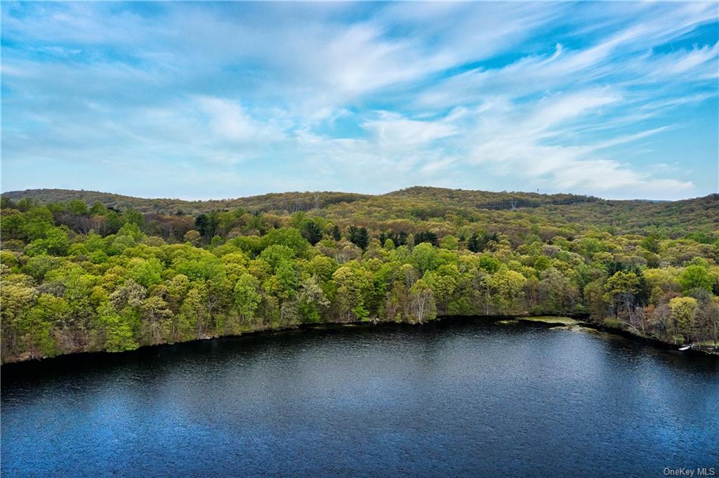 Land Pierson Lakes  Rockland, NY 10974, MLS-H6246062-10