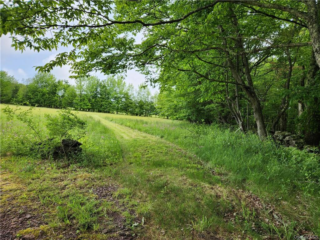 Land State Hwy 10  Delaware, NY 13786, MLS-H6254062-10
