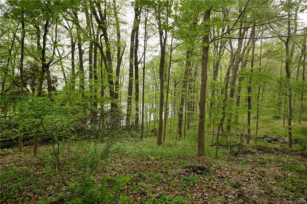 Land Pierson Lakes  Rockland, NY 10974, MLS-H6246063-10