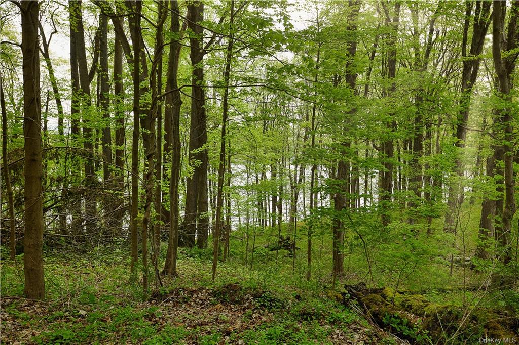 Land Pierson Lakes  Rockland, NY 10974, MLS-H6246064-10