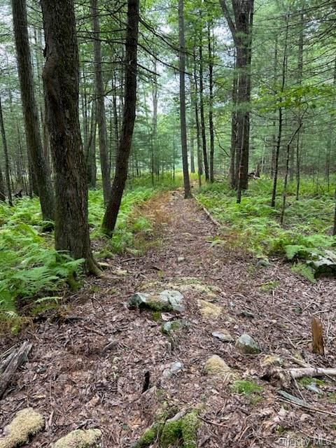 Land County Route 31  Sullivan, NY 12737, MLS-H6257089-10