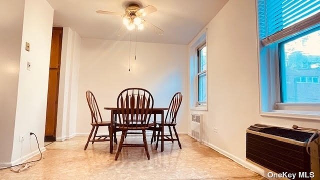 Coop Roosevelt  Queens, NY 11354, MLS-3519102-10