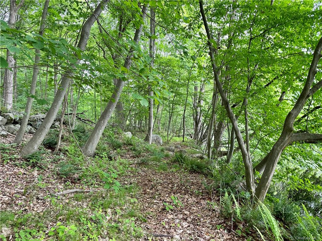 Land Pierson Lakes  Rockland, NY 10974, MLS-H6255156-10