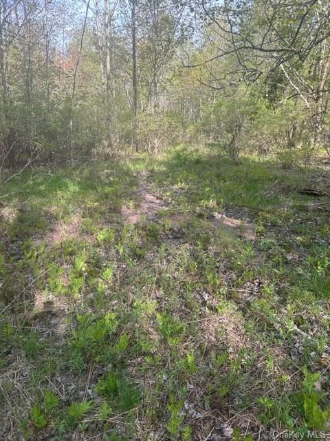 Land State  Sullivan, NY 12754, MLS-H6249164-10