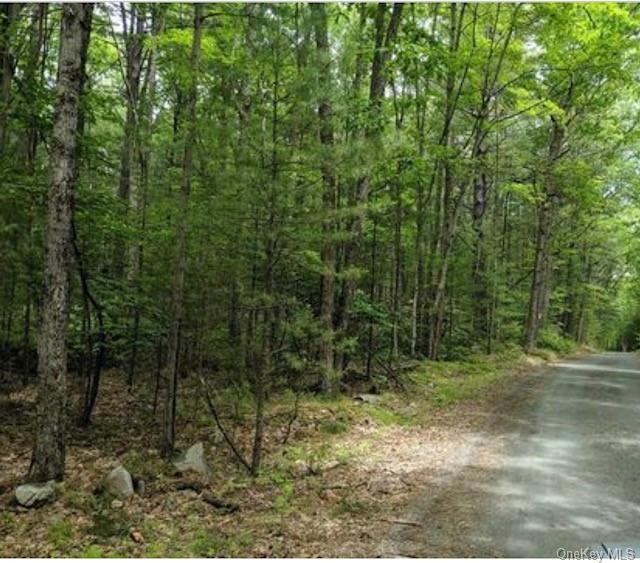 Land Allen  Sullivan, NY 12790, MLS-H6233173-10