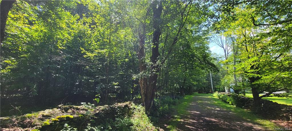 Land Westervelt  Sullivan, NY 12726, MLS-H6264186-10