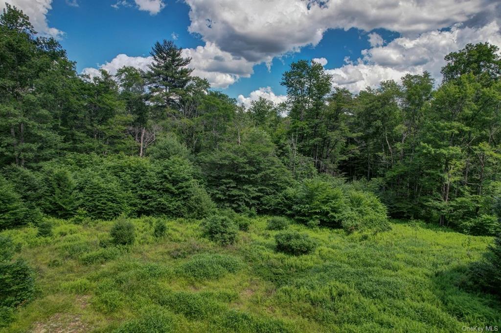 Land N/s French Clearing  Sullivan, NY 12777, MLS-H6195187-10