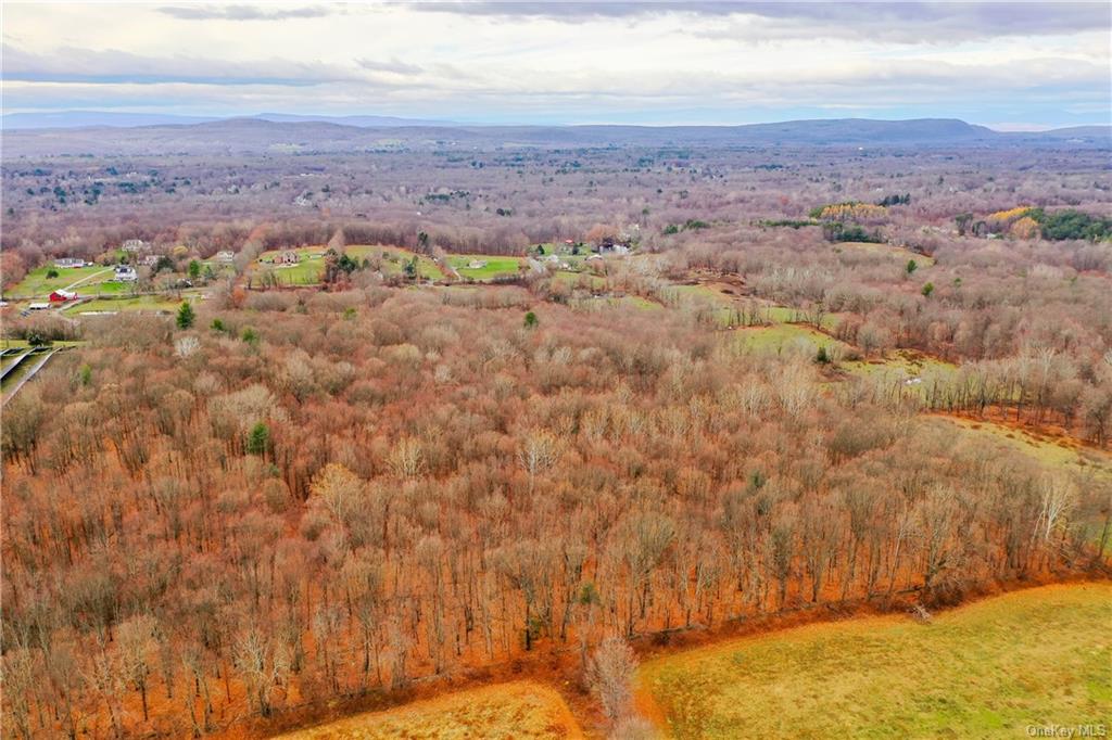 Land Cream  Dutchess, NY 12601, MLS-H6256190-10