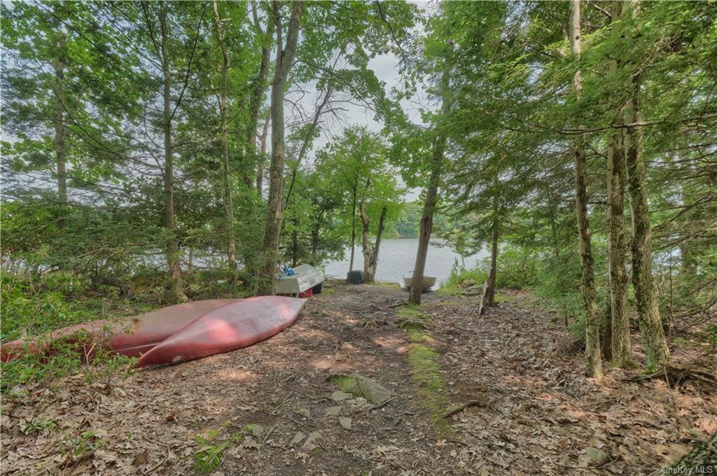 Land Shore  Sullivan, NY 12790, MLS-H6174271-10