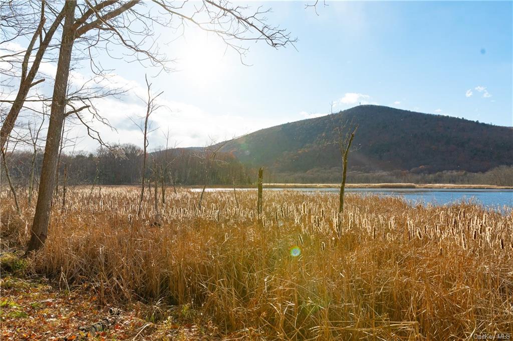 Land Lake  Dutchess, NY 12567, MLS-H6280278-10