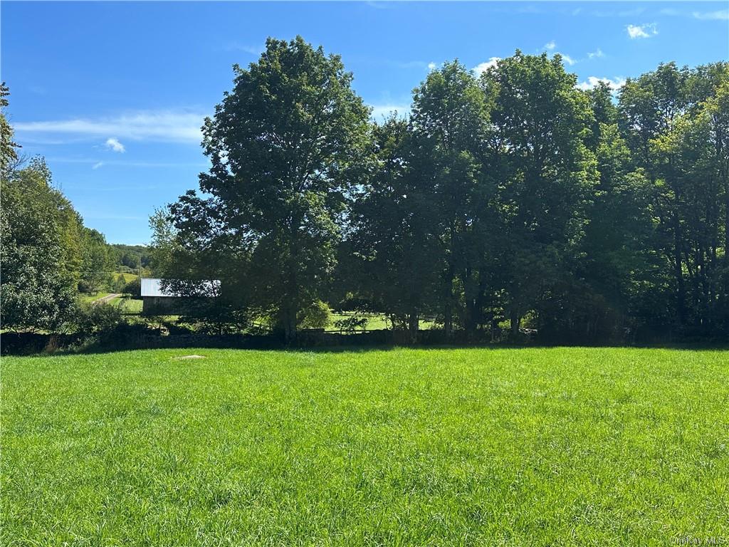 Land Menges  Sullivan, NY 12791, MLS-H6268308-10