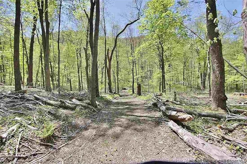 Land Esopus  Ulster, NY 12487, MLS-H6273308-10