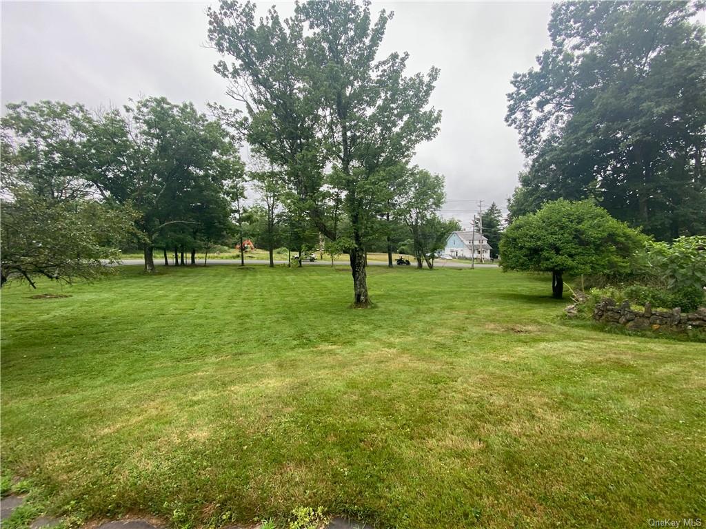 Land Cimarron  Sullivan, NY 12701, MLS-H6129351-10