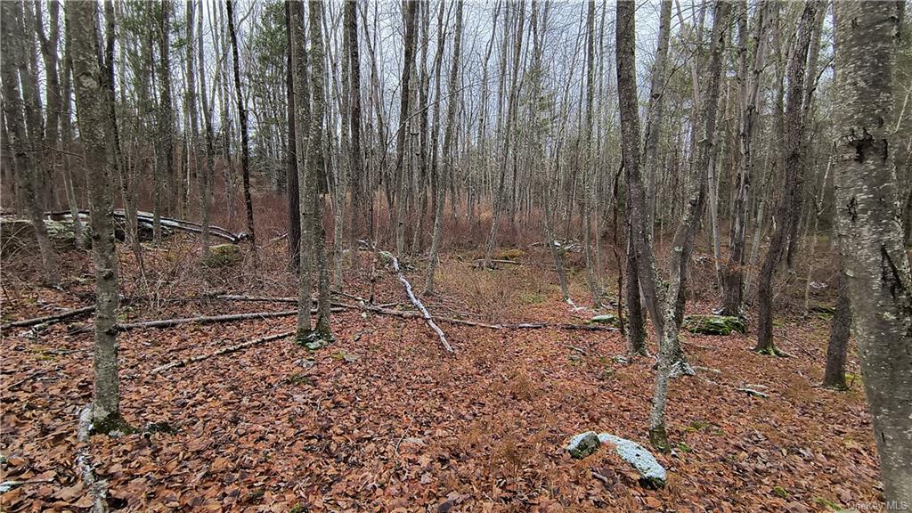 Land New Turnpike A  Sullivan, NY 12726, MLS-H6281364-10