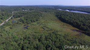 Land Heiden  Sullivan, NY 12733, MLS-H6212378-10