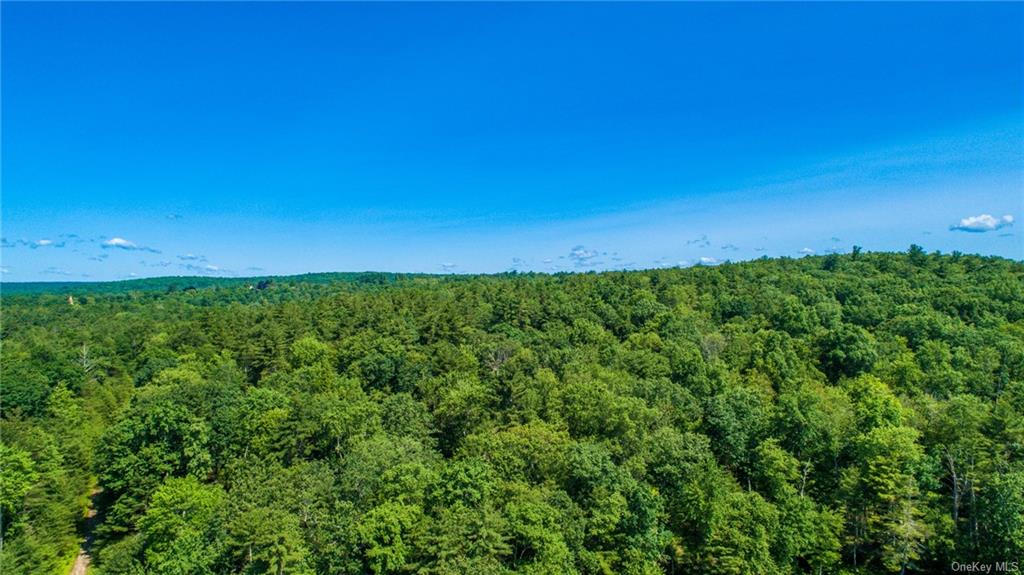 Land Taras Shevchenko Rd/elle  Sullivan, NY 12737, MLS-H6228378-10