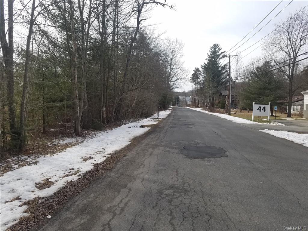 Land Lanahan  Sullivan, NY 12701, MLS-H6239382-10