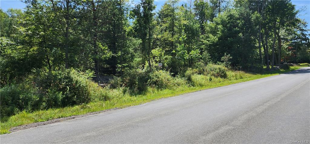 Land Katrina Falls  Sullivan, NY 12775, MLS-H6267421-10