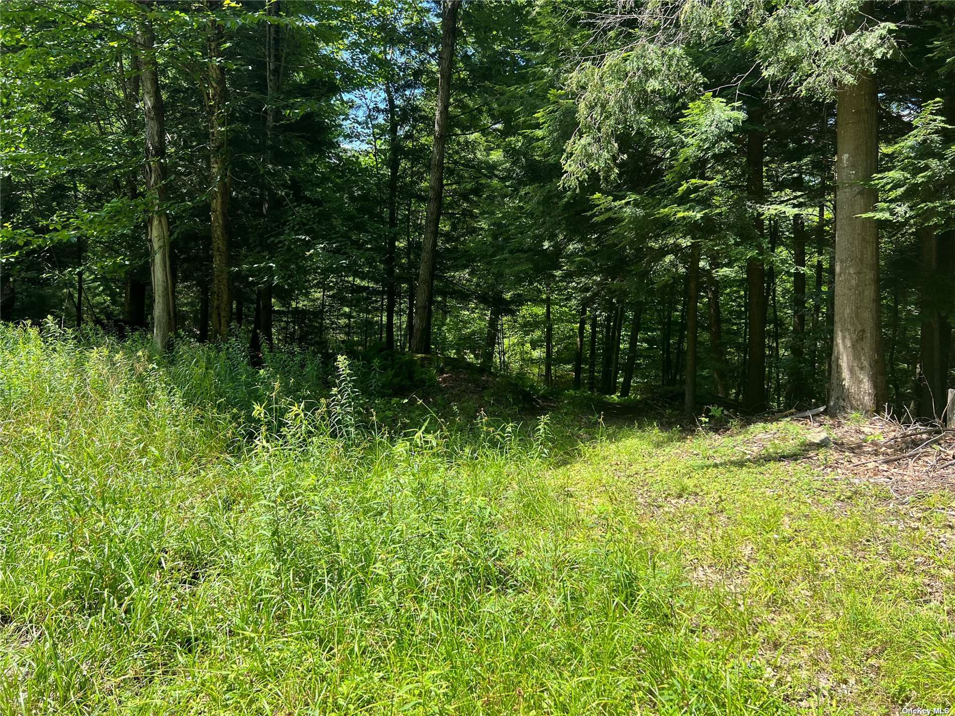 Land Shippee  Out Of Area, NY 12822, MLS-3481425-10