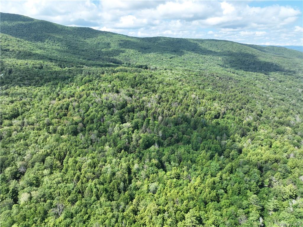 Land Beaver Hill  Out Of Area, NY 12076, MLS-H6256426-10