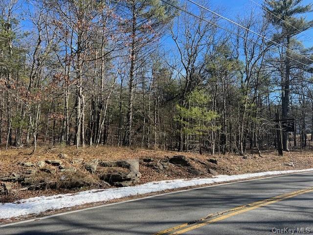 Land Route 28a  Ulster, NY 12443, MLS-H6278433-10