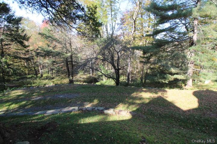 Single Family Hessinger Lare  Sullivan, NY 12724, MLS-H6273443-10